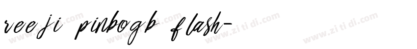 REEJI PinboGB Flash字体转换